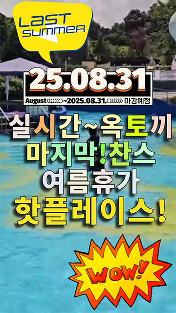 실시간옥토끼 마지막여름찬스