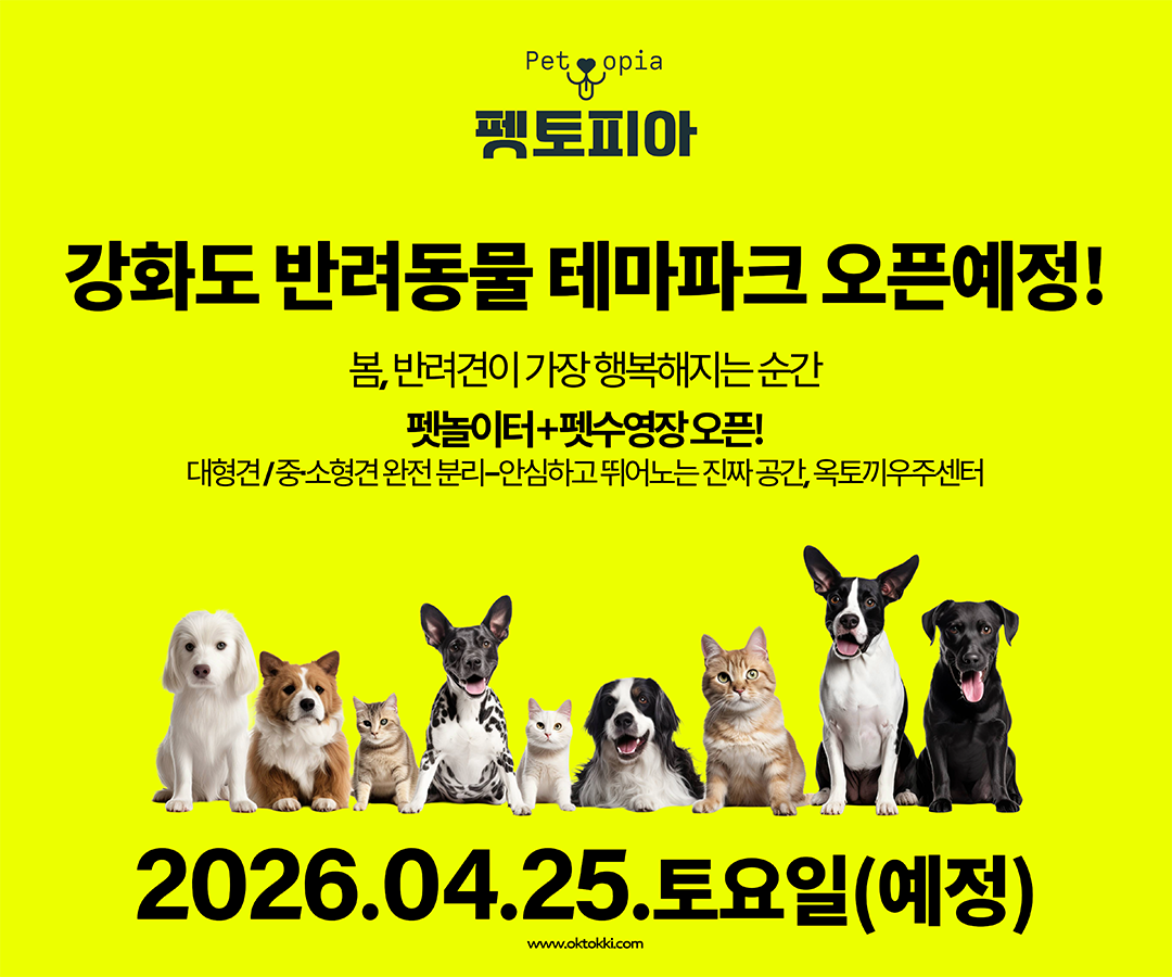 강화도 애견 테마파크 오픈예정!!!