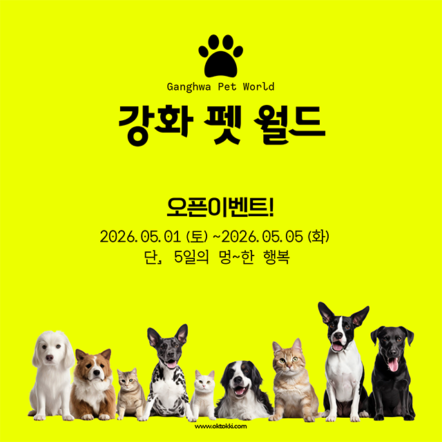 강화 펫 월드 5일간의 오픈이벤트~!!!